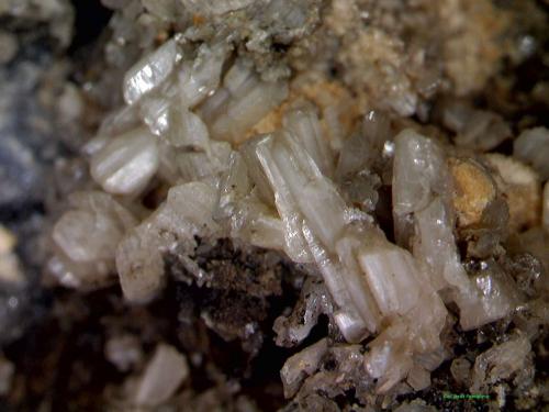 Cerusita y Galena.<br />Mina Mineralogia, El Molar, Comarca Priorat, Tarragona, Cataluña / Catalunya, España<br />6´440 x 4´860 mm.<br /> (Autor: Jesus Franquesa Baucells)