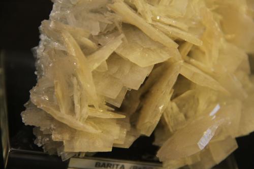 Baryte<br />El Telegrama adit, La Beltraneja concession, Cortijuelo Mines, Bacares, Comarca Valle del Almanzora, Almería, Andalusia, Spain<br />106mm x 155mm x 54mm<br /> (Author: franjungle)