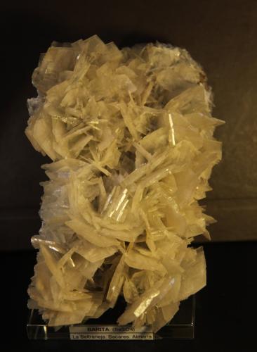 Baryte<br />El Telegrama adit, La Beltraneja concession, Cortijuelo Mines, Bacares, Comarca Valle del Almanzora, Almería, Andalusia, Spain<br />106mm x 155mm x 54mm<br /> (Author: franjungle)