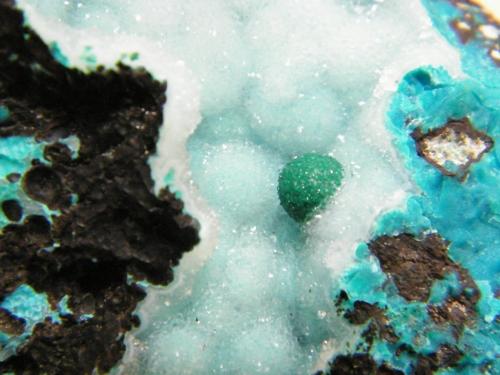 Chrysocolla and Malachite<br />Skorpion Mine, Rosh Pinah, Lüderitz District, ǁKaras Region, Namibia<br />132mm x 97mm x 75mm<br /> (Author: Heimo Hellwig)