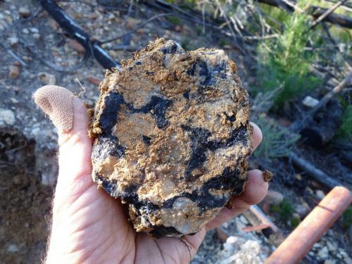 Unknown black mineral. (Author: Pierre Joubert)