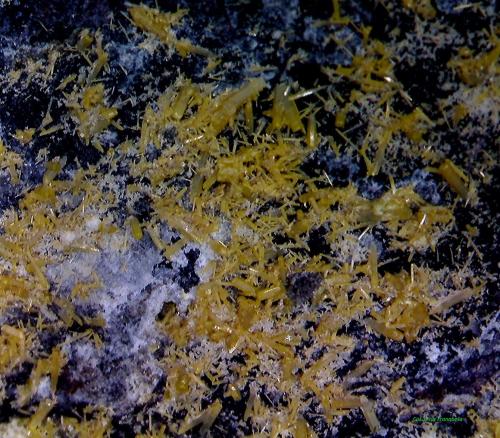 Mimetita.<br />Berja, Comarca Poniente Almeriense, Almería, Andalucía, España<br />6´971 x 5´373 mm.<br /> (Autor: Jesus Franquesa Baucells)