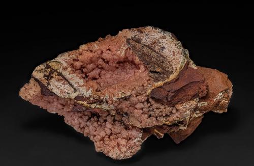 Rhodochrosite<br />Grand Rapids, Mesabi Iron Range, Itasca County, Iron Range of Minnesota Region, Minnesota, USA<br />10.9 x 6.8 cm<br /> (Author: am mizunaka)