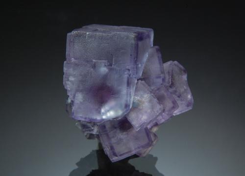 Fluorite<br />Granite Quarry, Shannapheasteen, Connemara, County Galway, Connacht, Ireland<br />2.5 x 2.9 cm<br /> (Author: crosstimber)