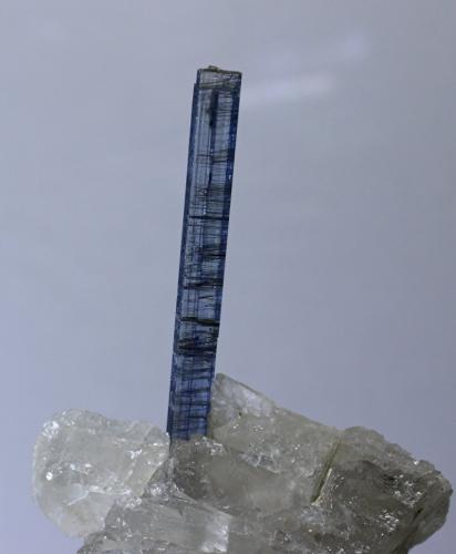 Cianita<br />Araçuaí, Vale do Jequitinhonha, Minas Gerais, Brasil<br />cristal 30x3 mm<br /> (Autor: Ramon A  Lopez Garcia)
