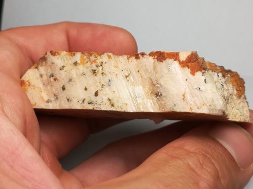 Albita y Moscovita en Microclina<br />Mas Sever Quarry, Massabè (Mas Ceber), Sils, Comarca La Selva, Gerona / Girona, Catalonia / Catalunya, Spain<br />8 x 2 cm<br /> (Autor: Iwok)