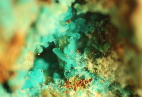 Chrysocolla<br />Reformada Mine, El Pinar de Bédar, Bédar, Comarca Levante Almeriense, Almería, Andalusia, Spain<br />FOV 7 mm<br /> (Author: franjungle)