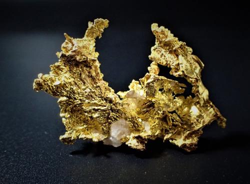 Gold, Quartz<br />Eagle's Nest Mine, Sage Hill, Michigan Bluff District, Placer County, California, USA<br />43 mm x 27 mm<br /> (Author: Don Lum)