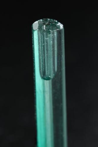 Beryl (variety emerald)<br />Chivor mining district, El Oriente Mine, Municipio Chivor, Eastern Emerald Belt, Boyacá Department, Colombia<br />20mm<br /> (Author: Fiebre Verde)