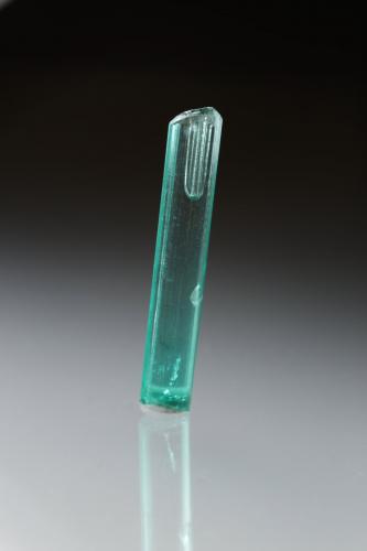 Beryl (variety emerald)<br />Chivor mining district, El Oriente Mine, Municipio Chivor, Eastern Emerald Belt, Boyacá Department, Colombia<br />20mm<br /> (Author: Fiebre Verde)