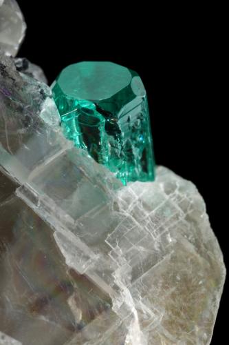 Beryl (variety emerald), Calcite<br />La Pita mining district, Cunas Mine, Municipio Maripí, Western Emerald Belt, Boyacá Department, Colombia<br />33x26x18mm (calcite xl), xls=8.5 & 4mm<br /> (Author: Fiebre Verde)