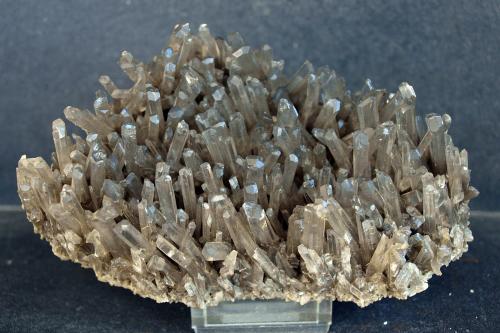 Yeso<br />Rosignano Marittimo, Provincia Livorno, Toscana, Italia<br />13 x 7.5 cm<br /> (Autor: Pedro Antonio)