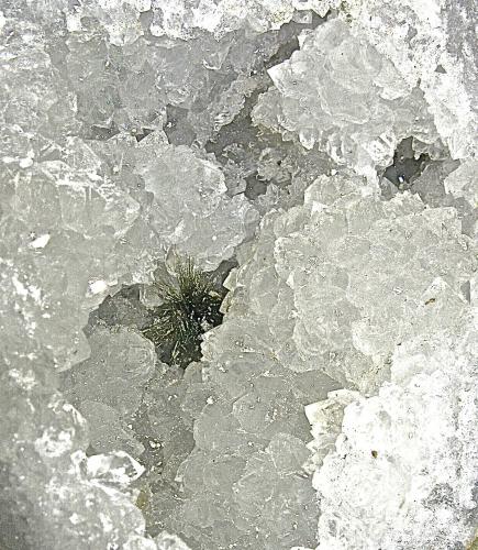 Millerite nestled in Quartz<br />Zona Harrodsburg, Clear Creek, Condado Monroe, Indiana, USA<br />The millerite spray is 2.0 cm<br /> (Author: Bob Harman)