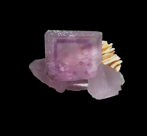 Fluorita<br />La Cabaña, Valdelmar, zona minera de Berbes, Berbes, Ribadesella, Comarca Oriente, Principado de Asturias (Asturias), España<br />8x4,5x4,5 cm.<br /> (Autor: Nacho)