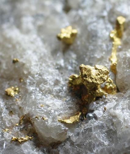 Oro<br />Depósito Igarapé do Inferno, Almeirim, Distrito aurífero Ipitinga, Pará, Baixo Amazonas, Brasil<br />Enfoque 50 x 50 mm<br /> (Autor: Ramon A  Lopez Garcia)