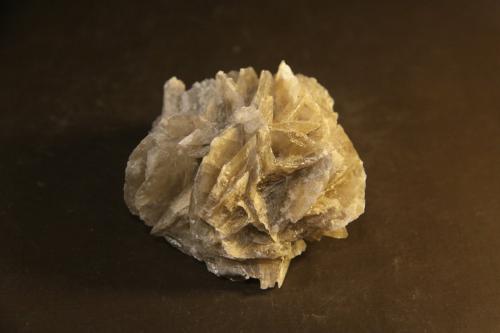 Gypsum<br />Villalbilla, Comarca Cuenca del Henares, Community of Madrid, Spain<br />55mm x 32mm x 50mm<br /> (Author: franjungle)