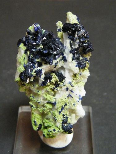 Azurite and Duftite<br />Tsumeb Mine, Tsumeb, Otjikoto Region, Namibia<br />32mm x 62mm x 21mm<br /> (Author: Heimo Hellwig)