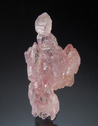 Quartz (variety rose quartz)<br />Pitorra claim, Alto da Pitorra, Laranjeiras, Galiléia, Vale do Rio Doce, Minas Gerais, Brazil<br />2.0 x 3.5 cm<br /> (Author: crosstimber)