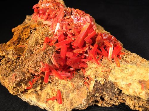 Crocoite<br />Adelaide Mine, Dundas mineral field, Zeehan District, West Coast Council, Tasmania, Australia<br />153 mm x 110 mm x 85 mm<br /> (Author: Robert Seitz)