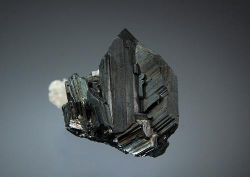 Chalcocite<br />Bristol Copper Mine, Bristol, Hartford County, Connecticut, USA<br />2.2 x 2.8 cm<br /> (Author: crosstimber)