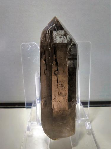 Cuarzo (variedad ahumado)<br />Pedrera Mas Sever, Massabè (Mas Ceber), Sils, Comarca La Selva, Gerona / Girona, Cataluña / Catalunya, España<br />6x2 cm.<br /> (Autor: Adri Rodríguez)