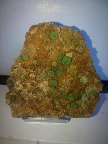 Fluorita<br />Afloramientos de Singuerlín, Puig Castellar (Serra de Marina), Singuerlín, Santa Coloma de Gramenet, Comarca Barcelonès, Barcelona, Cataluña / Catalunya, España<br />7x7 cm.<br /> (Autor: Adri Rodríguez)