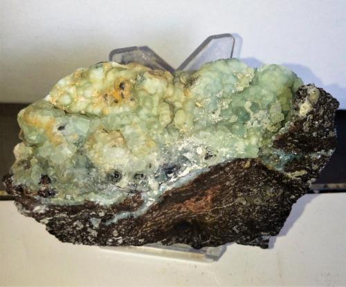 Alofana<br />Turó de Montcada Quarry, Montcada i Reixac, Comarca Vallès Occidental, Barcelona, Catalonia / Catalunya, Spain<br />6x9,5 cm.<br /> (Autor: Adri Rodríguez)