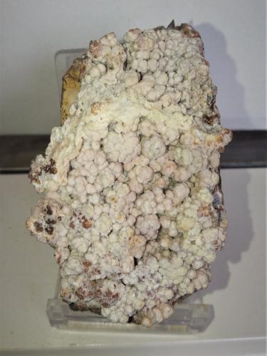 Alofana<br />Turó de Montcada Quarry, Montcada i Reixac, Comarca Vallès Occidental, Barcelona, Catalonia / Catalunya, Spain<br />7x4,5 cm.<br /> (Autor: Adri Rodríguez)