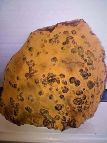 Goethita pseudomórfica de pirita, limonita<br />Torrent den Benet, Molins de Rei, Comarca Baix Llobregat, Barcelona, Cataluña / Catalunya, España<br />15x17 cm.<br /> (Autor: Adri Rodríguez)