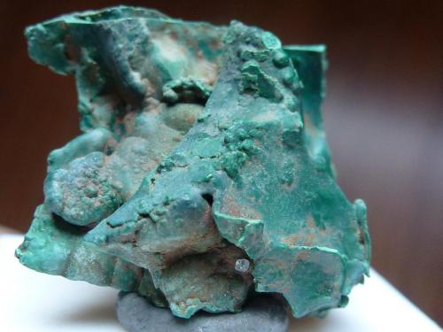 Malaquita<br />El Castro outcrop, Carreña, Cabrales, Comarca Oriente, Principality of Asturias (Asturias), Spain<br />3 x 3 cm.<br /> (Autor: javier ruiz martin)