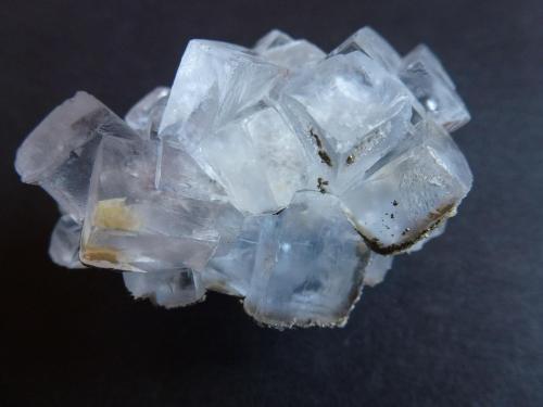 Fluorita<br />Jaimina Mine, Obdulia vein, Caravia mining area, Trechorio, Carrales, Caravia, Comarca Oriente, Principality of Asturias (Asturias), Spain<br />5,5 x 3,8 cm.<br /> (Autor: javier ruiz martin)