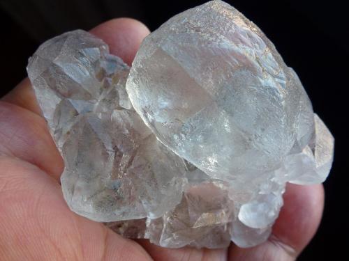 Fluorita<br />Jaimina Mine, Obdulia vein, Caravia mining area, Trechorio, Carrales, Caravia, Comarca Oriente, Principality of Asturias (Asturias), Spain<br />7 x 6 cm.<br /> (Autor: javier ruiz martin)