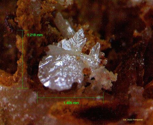 Cerusita.<br />Sierra del Cabo de Gata, Níjar, Comarca Metropolitana de Almería, Almería, Andalucía, España<br />1´405 x 1´218 mm.<br /> (Autor: Jesus Franquesa Baucells)