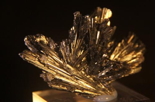 Stibnite<br />Herja Mine, Chiuzbaia, Baia Sprie, Maramures, Romania<br />60mm x 39mm x 22mm<br /> (Author: franjungle)