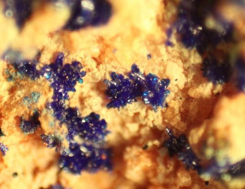 Azurite<br />Reformada Mine, El Pinar de Bédar, Bédar, Comarca Levante Almeriense, Almería, Andalusia, Spain<br />FOV 8 mm<br /> (Author: franjungle)