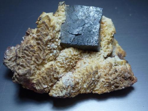 Galena<br />Aizpea claim, Cerain mines, Zerain, Comarca Goyerri, Guipúzcoa / Gipuzkoa, Basque Country (Euskadi), Spain<br />6 x 4 cm.<br /> (Autor: javier ruiz martin)
