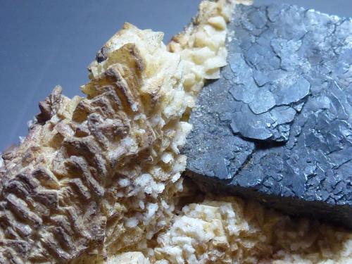 Galena<br />Aizpea claim, Cerain mines, Zerain, Comarca Goyerri, Guipúzcoa / Gipuzkoa, Basque Country (Euskadi), Spain<br />6 x 4 cm.<br /> (Autor: javier ruiz martin)