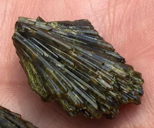 Epidota<br />Morro das Pedras comunnity, Morro das Pedras, Formiga, Minas Gerais, Brazil<br />3 x 2,6 x 0,6 cm<br /> (Autor: Anisio Claudio)