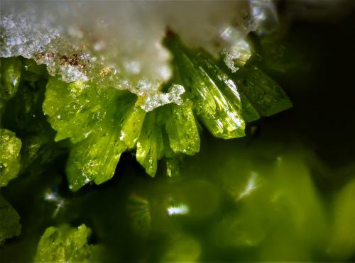 Rodalquilarita<br />340 vein, Rodalquilar, Níjar, Comarca Metropolitana de Almería, Almería, Andalusia, Spain<br />3x2,5x1,5 cm.<br /> (Autor: Nacho)