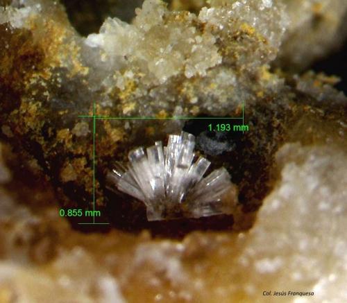 Willemita.<br />Sierra del Cabo de Gata, Níjar, Comarca Metropolitana de Almería, Almería, Andalucía, España<br />1´193 x 0´855 mm.<br /> (Autor: Jesus Franquesa Baucells)