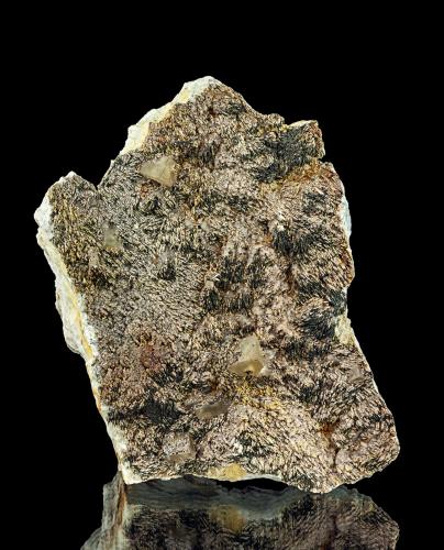 Baryte, Fluorite<br />Finstergrund Mine, Wieden (Schwarzwald), Lörrach, Freiburg, Baden-Württemberg, Germany<br />17,1 x 12,4 x 7,4 cm<br /> (Author: Niels Brouwer)