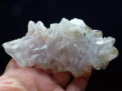 Fluorita<br />Jaimina Mine, Obdulia vein, Caravia mining area, Trechorio, Carrales, Caravia, Comarca Oriente, Principality of Asturias (Asturias), Spain<br />15 x 8 cm.<br /> (Autor: javier ruiz martin)