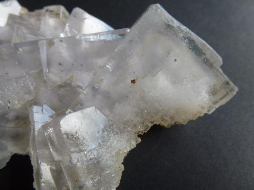 Fluorita<br />Jaimina Mine, Obdulia vein, Caravia mining area, Trechorio, Carrales, Caravia, Comarca Oriente, Principality of Asturias (Asturias), Spain<br />15 x 8 cm.<br /> (Autor: javier ruiz martin)