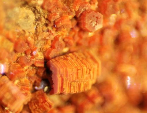 Vanadinite<br />ACF Mine, Mibladen mining district, Mibladen, Midelt, Midelt Province, Drâa-Tafilalet Region, Morocco<br />FOV 9 mm<br /> (Author: franjungle)