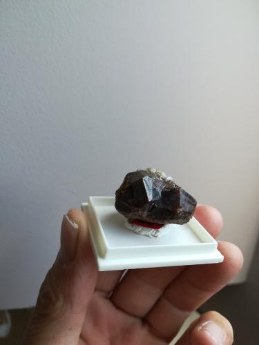 Almandino (Grupo Granate)<br />Santa Marina Mine, Monte Galiñeiro, Vincios, Gondomar, Comarca Vigo, Pontevedra, Galicia / Galiza, Spain<br />4x3 cm aprox<br /> (Autor: ximocompany)