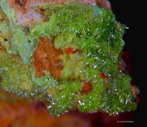 Piromorfita.<br />Mina Chaillac, Chaillac, Le Blanc, Indre, Centre-Val de Loire, Francia<br />3´044 x 2´614 mm.<br /> (Autor: Jesus Franquesa Baucells)