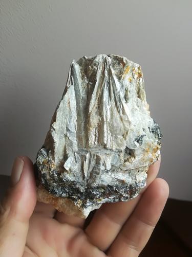 Cianita<br />Silán, Muras, Comarca Terra Chá, Lugo, Galicia / Galiza, España<br />8x6 cm aprox<br /> (Autor: ximocompany)