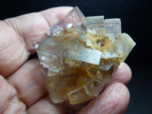 Fluorita<br />La Viesca Mine, La Collada mining area, Huergo, Siero, Comarca Oviedo, Principality of Asturias (Asturias), Spain<br />5 x 4 cm.<br /> (Autor: javier ruiz martin)