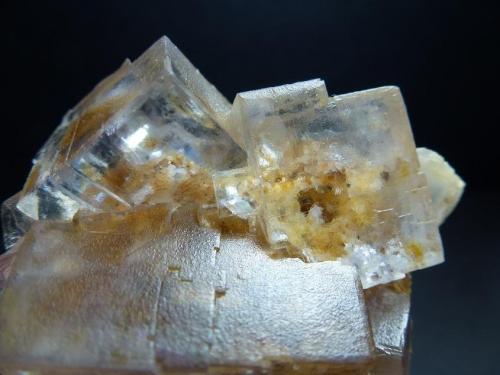 Fluorita<br />La Viesca Mine, La Collada mining area, Huergo, Siero, Comarca Oviedo, Principality of Asturias (Asturias), Spain<br />5 x 4 cm.<br /> (Autor: javier ruiz martin)