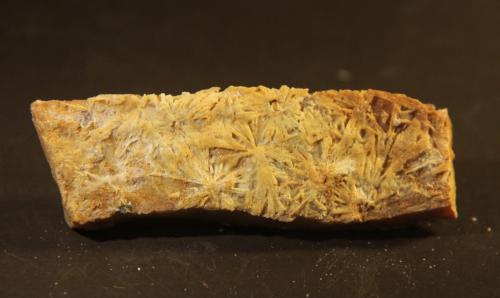 Baryte<br />Mina Reformada, El Pinar de Bédar, Bédar, Comarca Levante Almeriense, Almería, Andalucía, España<br />87mm x 23mm x 17mm<br /> (Author: franjungle)